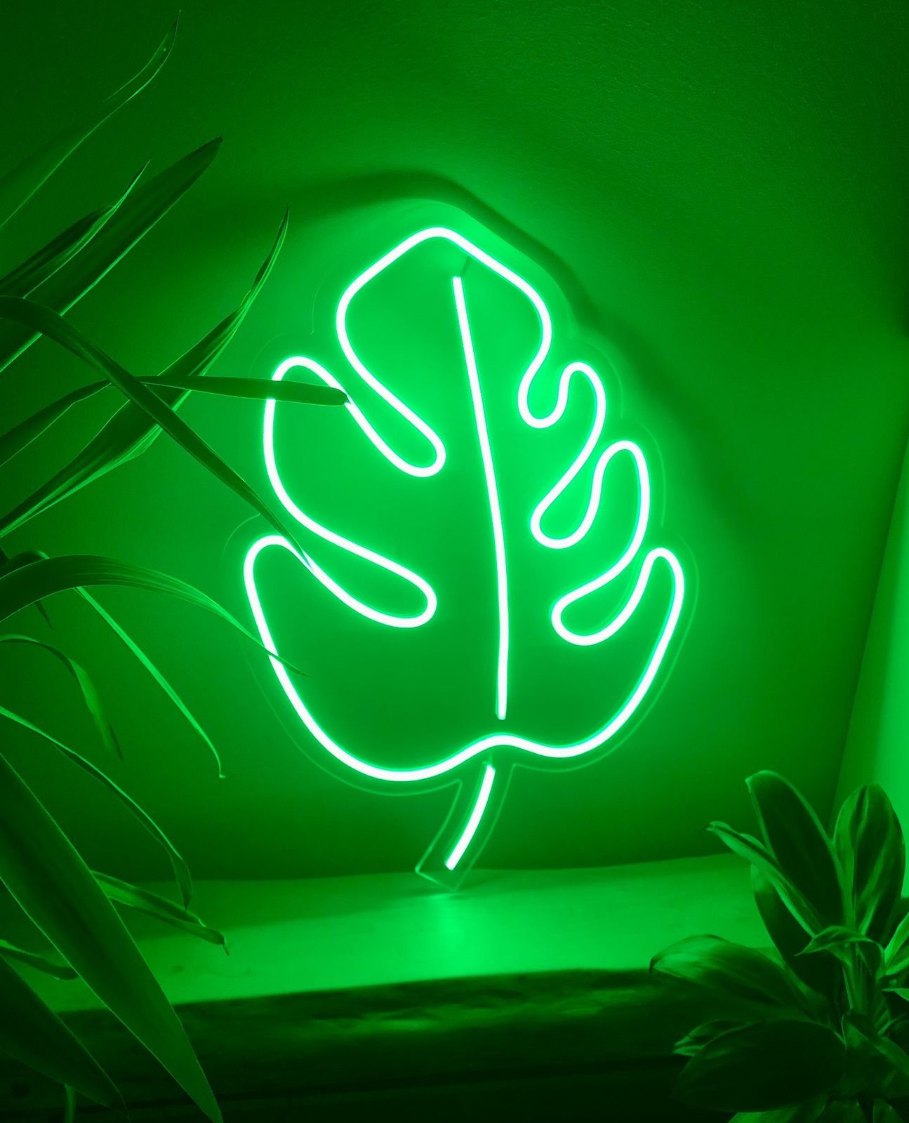 Monstera · LED-neonskilt